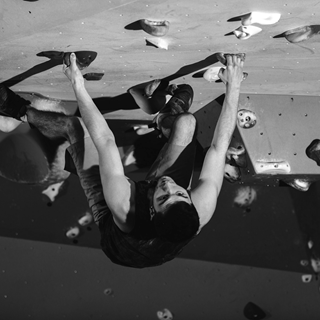 Untitled design-3.png