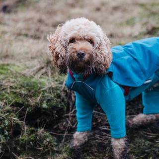 DSCF3184-121-250 sec at f - 2.0.jpg