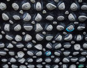 (WEBSITE 72dpi) TCH Sheffield - Photography (SEPTEMBER 2023) ©Rob Battersby 108.jpg