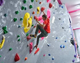 (CANVA) TCH EXETER - GENERAL(OCTOBER 2023) ©Rob Battersby 13.jpg